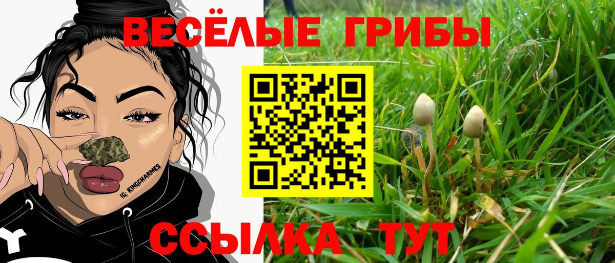 Псилоцибиновые грибы GOLDEN TEACHER Узловая