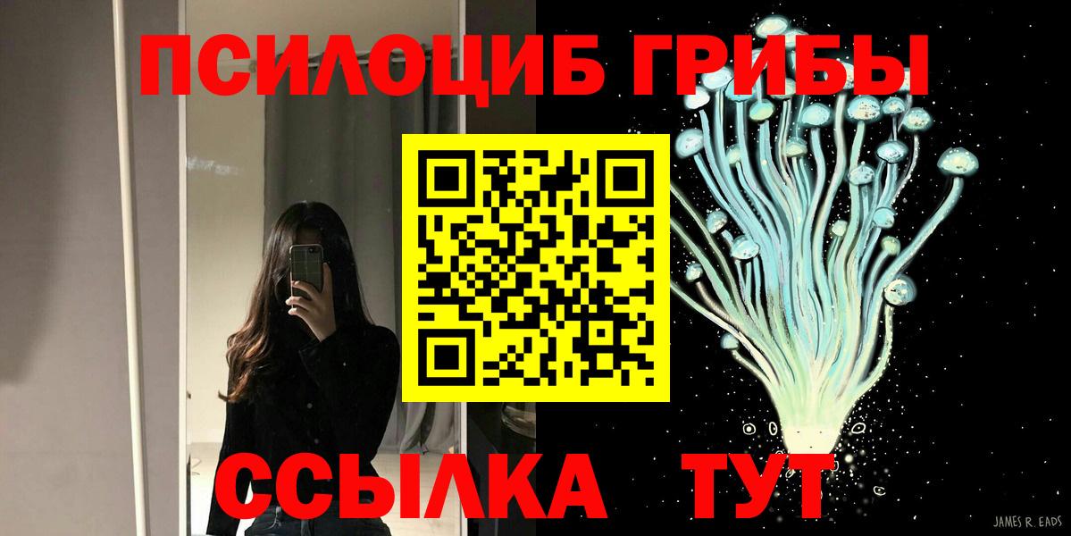Узловая  Псилоцибиновые грибы MAGIC MUSHROOMS  Вход с VPN 